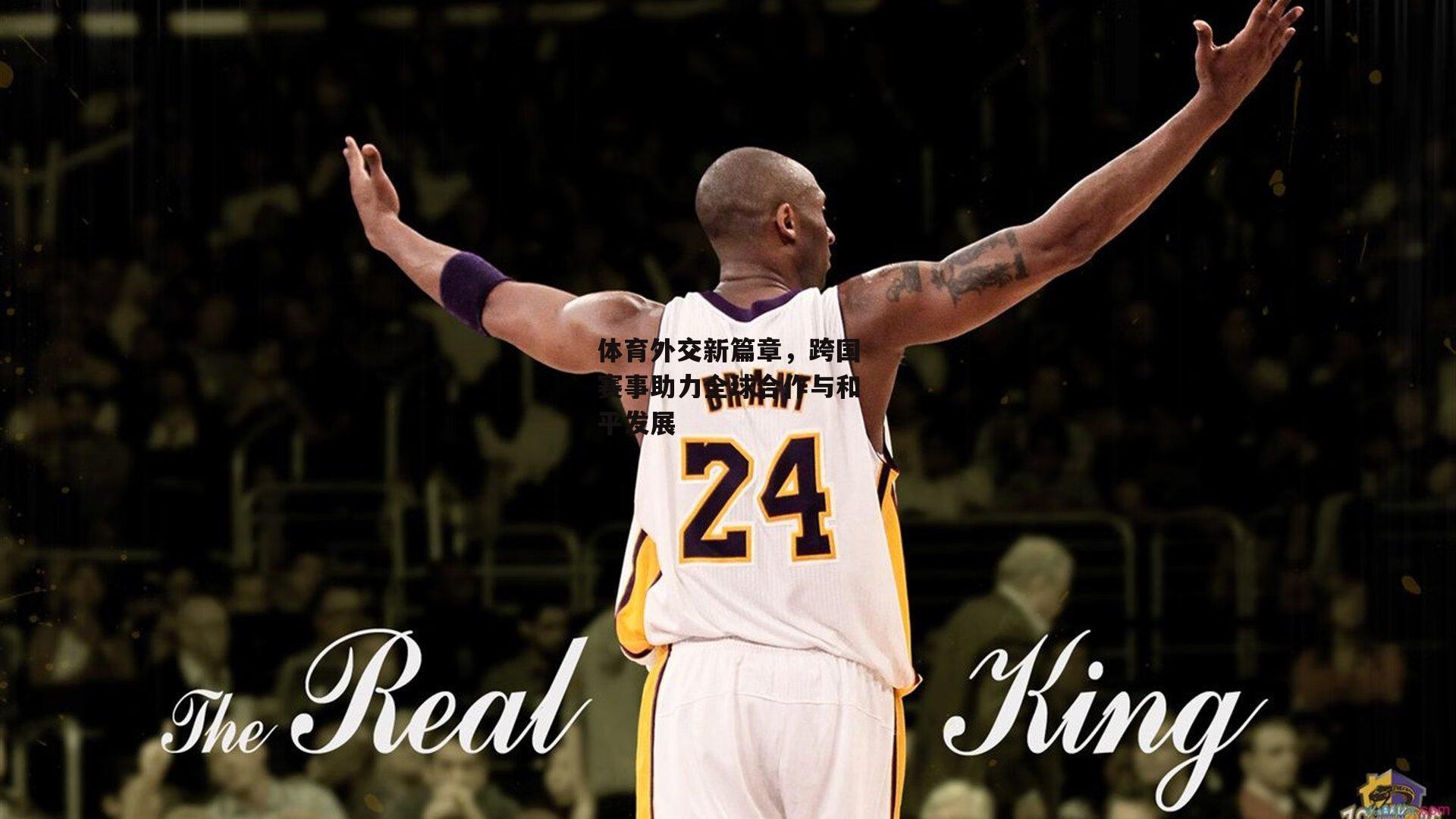 体育外交新篇章,跨国赛事助力全球合作与和平发展